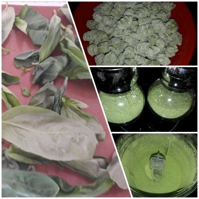 Egyszerű zöld ravioli recept saját szárított bazsalikommal és spenóttal